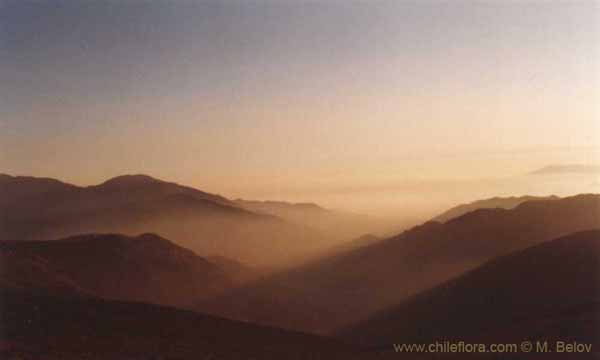 Imagen de paisaje chileno
