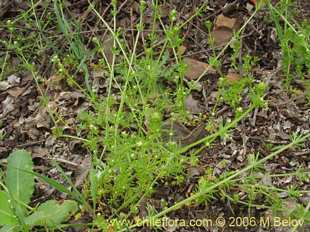 See more details and purchase options...