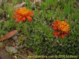 See more details and purchase options...