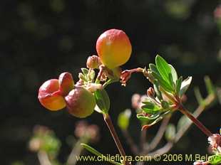 关于这个商品看更多资料和购买别的数量