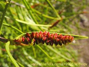 See more details and purchase options...