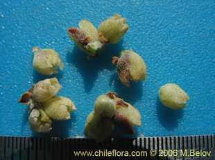 See more details and purchase options...