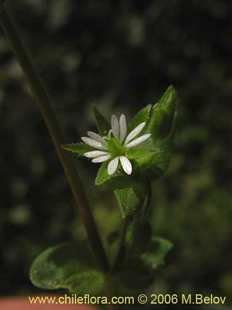 See more details and purchase options...