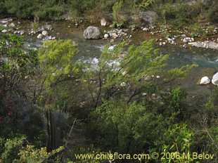 See more details and purchase options...