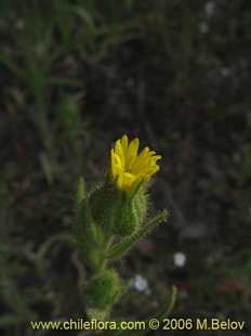 See more details and purchase options...