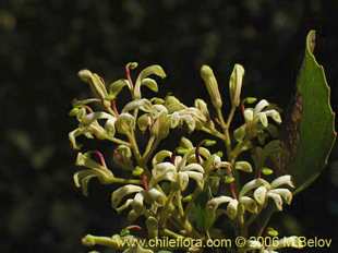 See more details and purchase options...