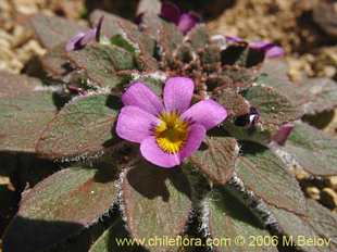 See more details and purchase options...