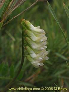 Mehr Information und Einkaufsmöglichkeiten…