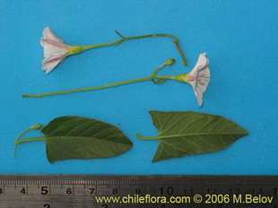 See more details and purchase options...