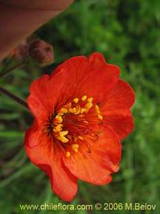 See more details and purchase options...