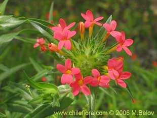 See more details and purchase options...