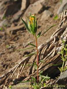 See more details and purchase options...