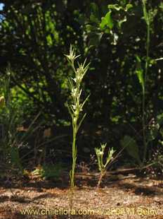 See more details and purchase options...