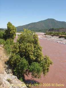 See more details and purchase options...