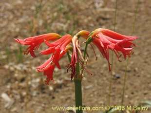 See more details and purchase options...