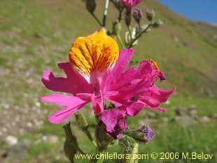 See more details and purchase options...