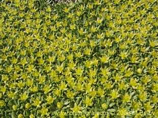 See more details and purchase options...