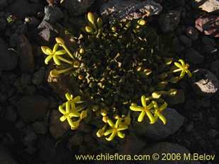 See more details and purchase options...