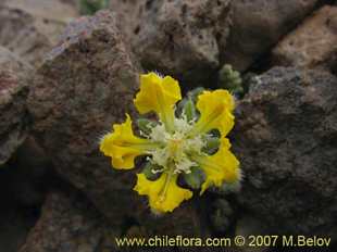 See more details and purchase options...