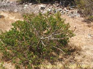 See more details and purchase options...