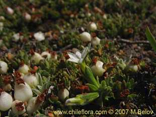 See more details and purchase options...