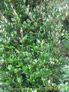 关于这个商品看更多资料和购买别的数量