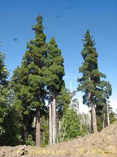 See more details and purchase options...