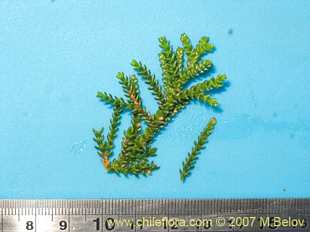 See more details and purchase options...