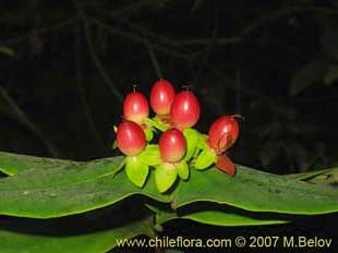 关于这个商品看更多资料和购买别的数量