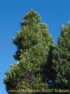 See more details and purchase options...