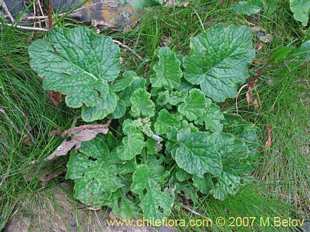 See more details and purchase options...