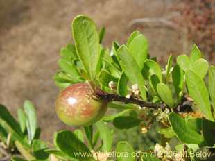 See more details and purchase options...