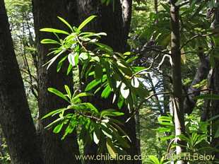 See more details and purchase options...