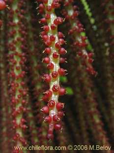 See more details and purchase options...