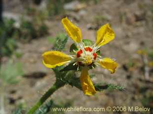 See more details and purchase options...