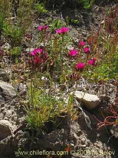 See more details and purchase options...