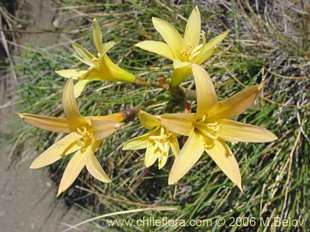 See more details and purchase options...