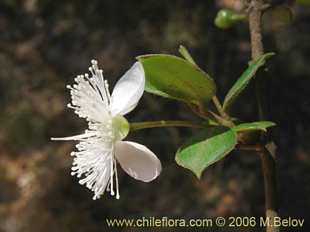 See more details and purchase options...