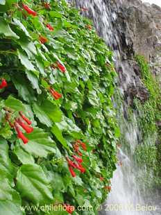 See more details and purchase options...