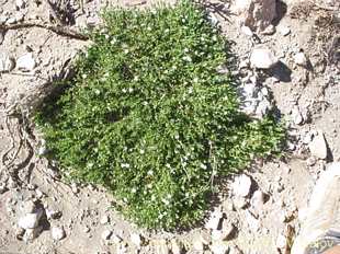 关于这个商品看更多资料和购买别的数量