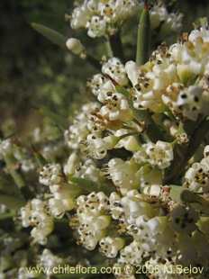 See more details and purchase options...