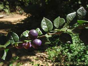 See more details and purchase options...