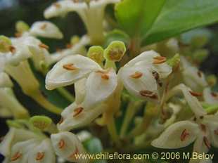 关于这个商品看更多资料和购买别的数量