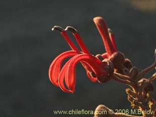 See more details and purchase options...