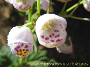 See more details and purchase options...