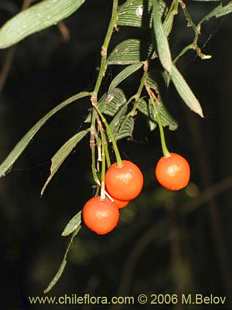 See more details and purchase options...