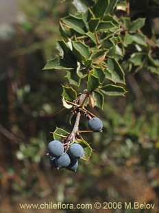 See more details and purchase options...