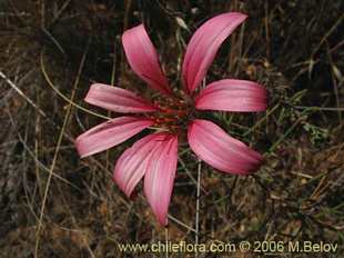 See more details and purchase options...