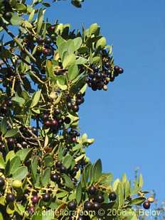 关于这个商品看更多资料和购买别的数量