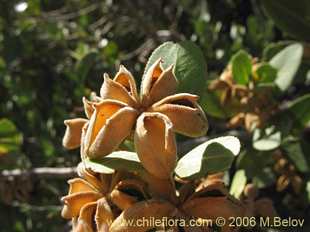 See more details and purchase options...